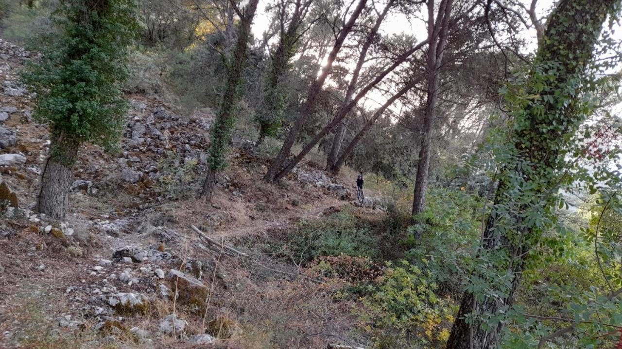 רוטה Casa Los Garcia מראה חיצוני תמונה